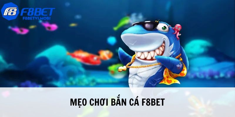 Cập nhật mẹo săn mồi hấp dẫn cho hội viên