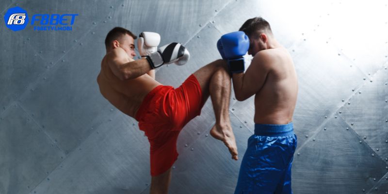 Hiểu rõ về phong cách và khả năng đấu trước khi đặt tiền vào họ