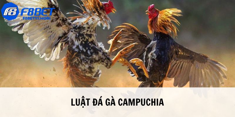 Luật cụ thể cho hội viên nắm bắt khi cá cược