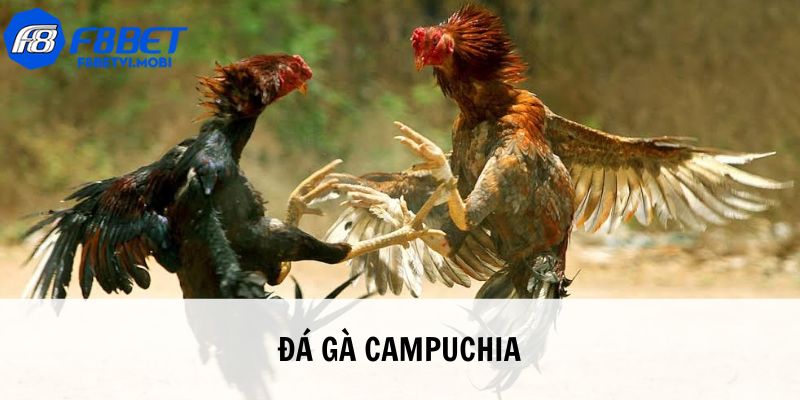 da-ga-campuchia