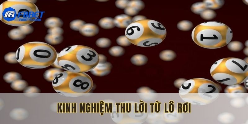 Bật mí kinh nghiệm thu lời hiệu quả từ lô rơi